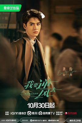 丹东seo网站优化平台费用